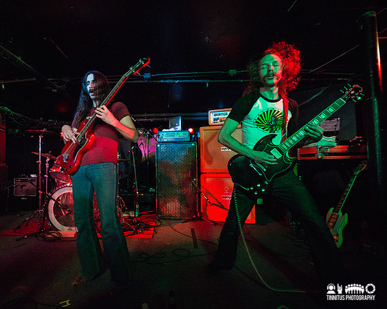Danava in concert