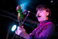 ChameleonsVox in concert