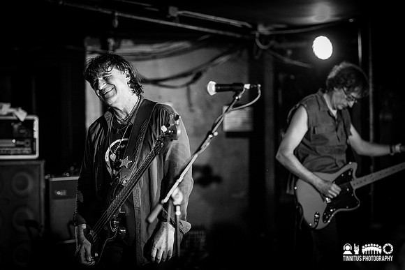 ChameleonsVox in concert