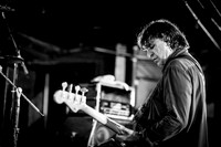 ChameleonsVox in concert