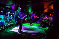 ChameleonsVox in concert