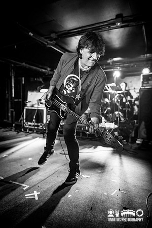 ChameleonsVox in concert