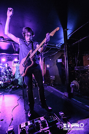 ChameleonsVox in concert