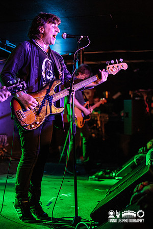 ChameleonsVox in concert