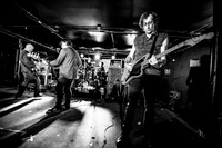 ChameleonsVox in concert