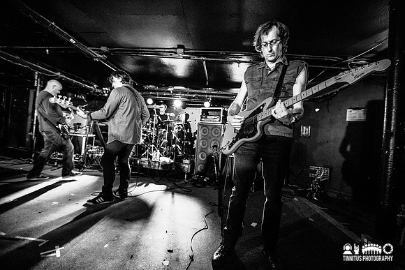 ChameleonsVox in concert