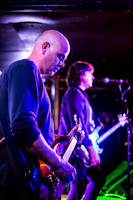ChameleonsVox in concert