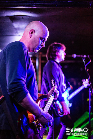 ChameleonsVox in concert