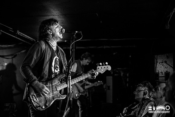 ChameleonsVox in concert