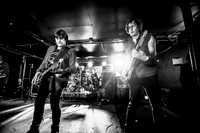 ChameleonsVox in concert