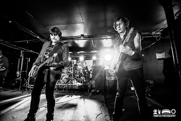 ChameleonsVox in concert