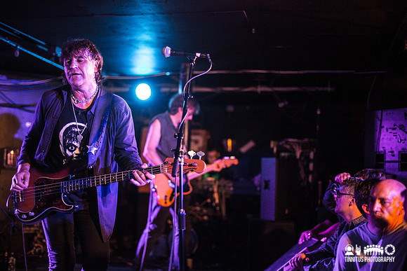 ChameleonsVox in concert