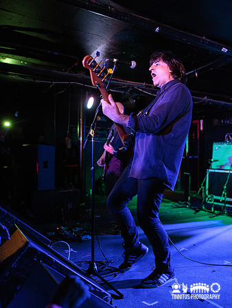 ChameleonsVox in concert
