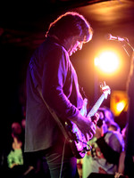 ChameleonsVox in concert