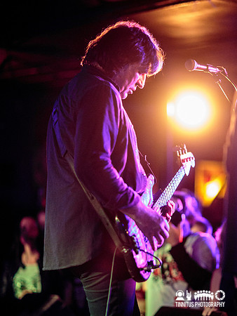 ChameleonsVox in concert