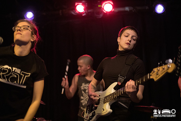 Bodega in concert