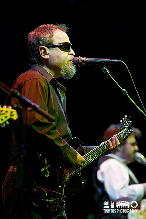 Blue Öyster Cult in concert