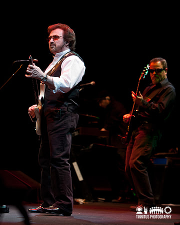 Blue Öyster Cult in concert