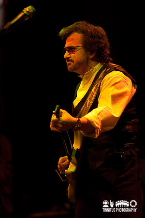 Blue Öyster Cult in concert