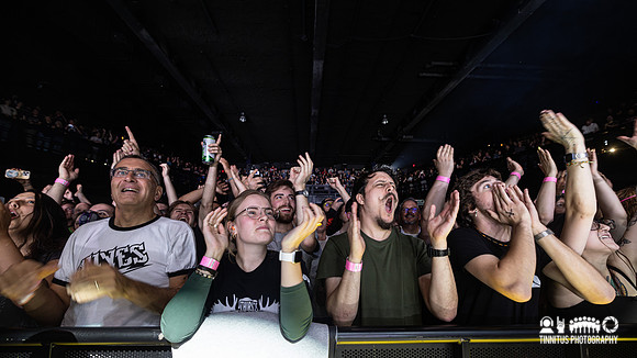 The Hives in concert