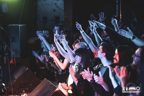 Elder in concert