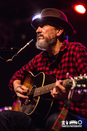 Howe Gelb in concert
