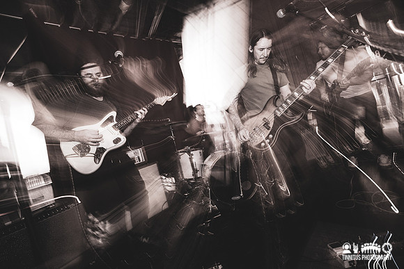 Dwelley in concert