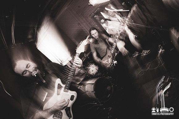 Dwelley in concert