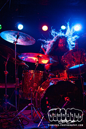 The Atlas Moth in concert
