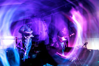 Orchid Mantis in concert