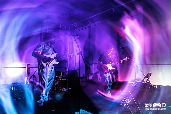 Orchid Mantis in concert
