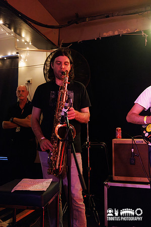 Constant Mongrel in concert