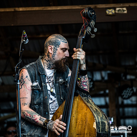 The Goddamn Gallows in concert