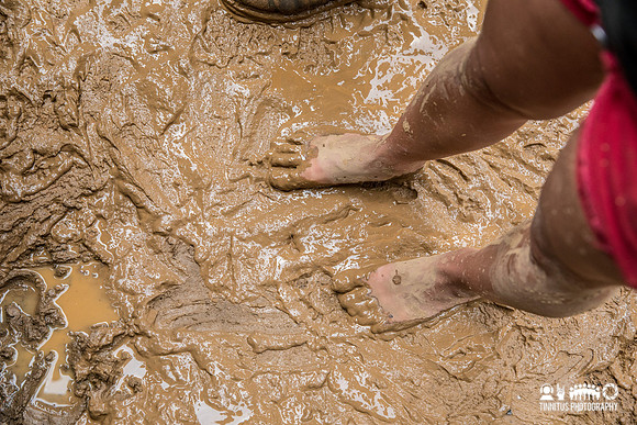 Muddy Roots