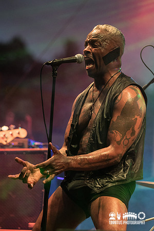 Oxbow in concert
