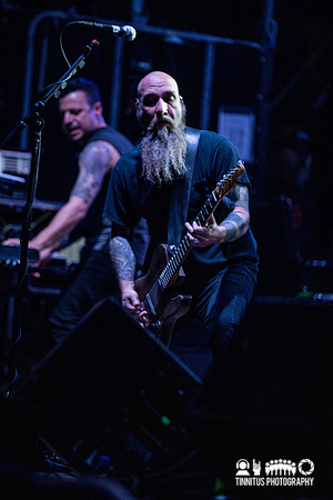 Neurosis in concert