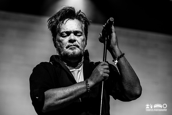 John Mellencamp in concert