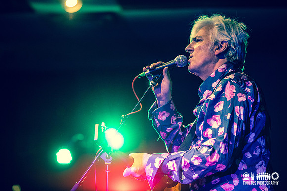 Robyn Hitchcock in concert