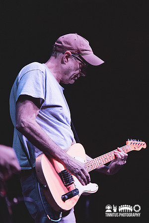 Tobin Sprout in concert