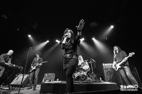 Boss Hog in concert