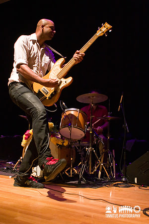 Dengue Fever in concert