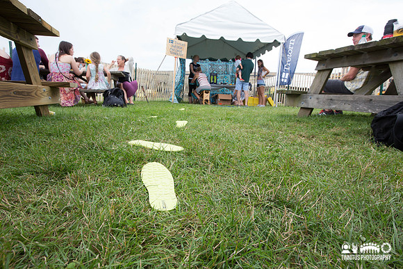 Newport Folk Festival