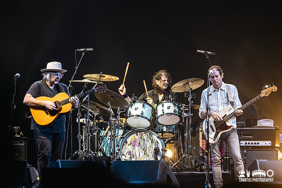 Wilco in concert