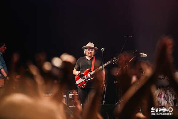 Wilco in concert