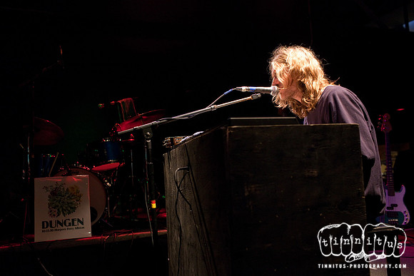 Dungen in concert