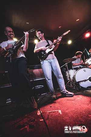 Constant Mongrel in concert