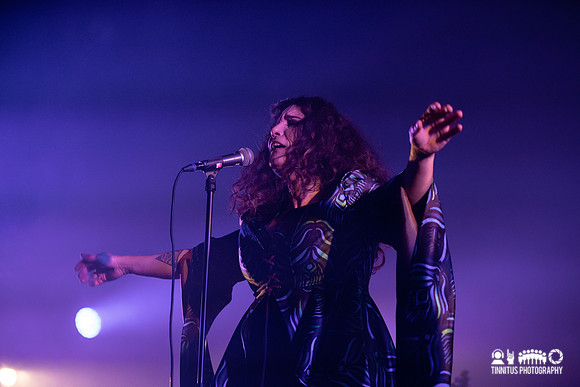 Molasses in concert