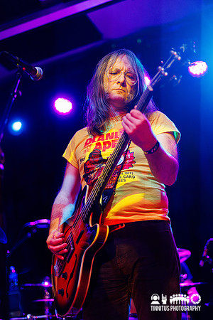 The Bevis Frond in concert