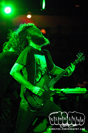 Isis in concert