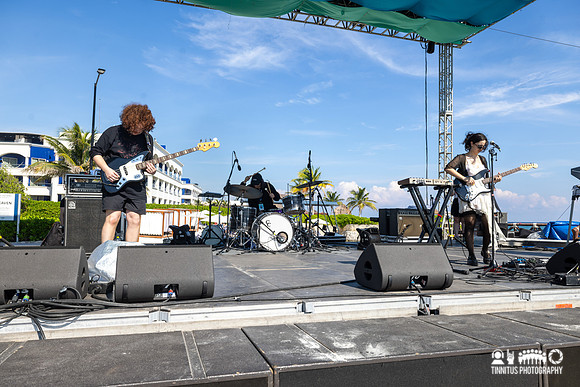 Mint Field in concert